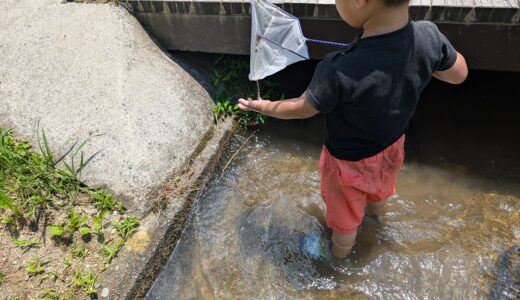 虫、生物好きな小学生が選ぶ！川遊びにおすすめな魚捕り網はこの二つ！