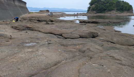 【和歌山白浜で子供連れ旅行】大家族でも超おすすめ安くて広い宿泊施設、子供喜ぶ観光地5選！